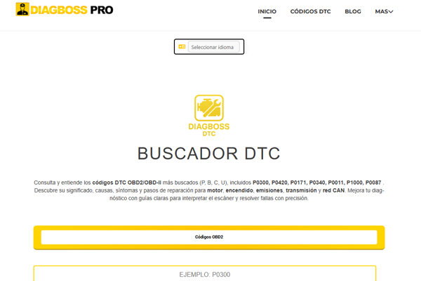 Diagboss.pro